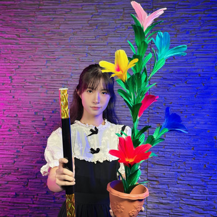 魔術套裝, 近距離魔術, 派對舞台魔術, 撲克牌魔術, 硬幣金錢魔術, 手法魔術, 心靈魔術, 漂浮魔術, 玫瑰花朵魔術, 絲巾魔術, 火焰煙霧魔術, 訂製魔術, 配件補充裝, 魔術桌, 魔術道具, 魔術用品, 魔術教學, 魔術教學片, 魔術表演道具, 舞台魔術, 街頭魔術, 魔術表演, 魔術效果, 魔術配件, 魔術禮物, 香港魔術店, 魔術專門店, 魔術道具,魔術用品,香港魔術店,魔術專門店,魔術套裝,近距離魔術,舞台魔術,派對魔術,街頭魔術,撲克牌魔術,硬幣金錢魔術,手法魔術,心靈魔術,漂浮魔術,玫瑰花朵魔術,絲巾魔術,火焰煙霧魔術,訂製魔術道具,魔術配件補充裝,魔術桌,魔術教學影片,魔術表演道具,魔術效果,魔術配件,魔術禮物,企業活動魔術,婚禮魔術,生日派對魔術,魔術道具批發,香港魔術師租借, magic bundles, close-up magic, stage magic, card magic, coin & money magic, manipulation magic, mentalism, levitation magic, rose & flower magic, silk magic