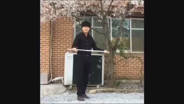 消失魔棒 Vanishing Cane